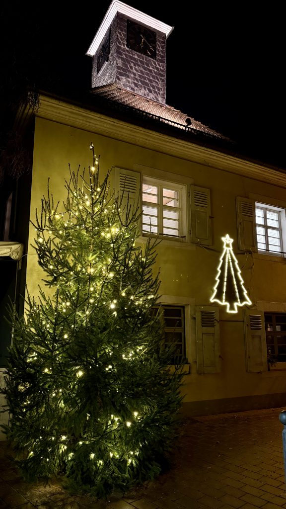 Geschmückter Weihnachtsbaum vor dem Rathäusle in Rüppurr