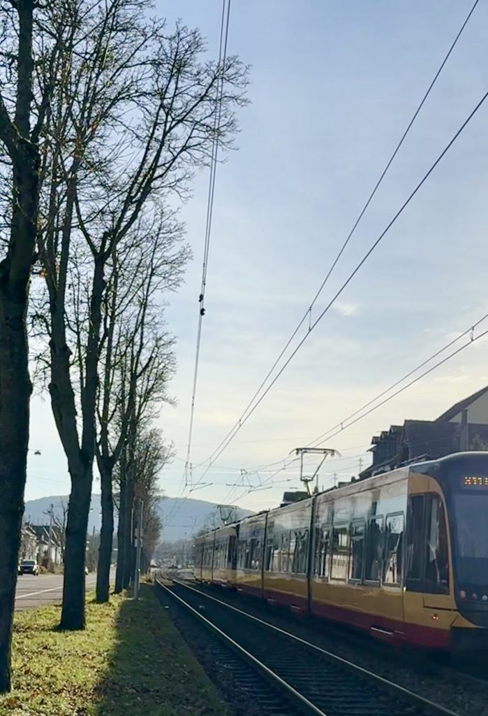 Foto der Straßenbahnlinie zwischen Rüppurr Tulpenstraße und Battstraße. Man sieht, wie die Bäume auf der linken Seite seht schmal nach oben wachsen, da sie immer wieder beschnitten wurden um nicht in die Straßenbahn reinzuragen.