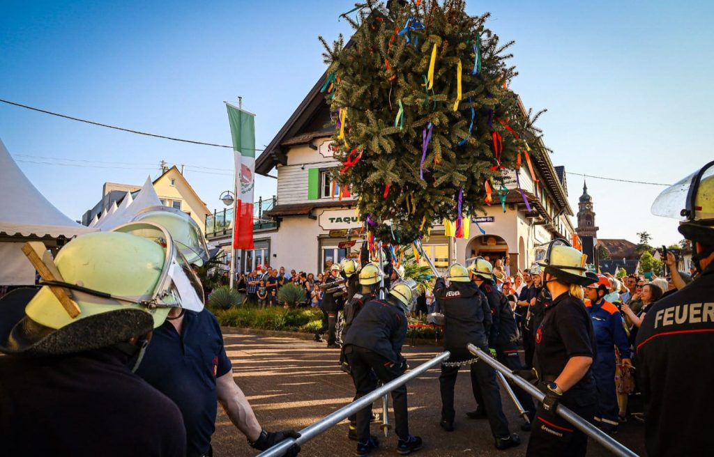 Foto vom Aufstellen des Maibaumes. Feuerwehrleute mit langen Stangen drücken den Baum nach oben.