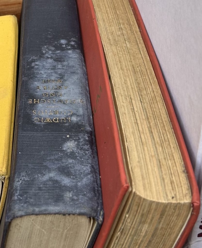 Nahaufnahme von 2 zusammengeklappten Büchern. Der schwarze Buchrücken ist verschimmelt. Die Seiten des roten Buches sind offensichtlich durch Feuchtigkeit beeinträchtigt.